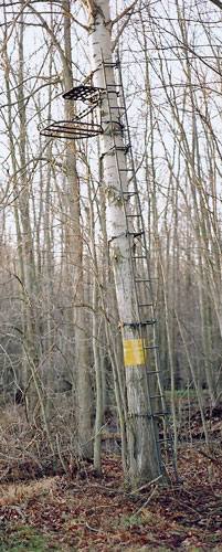 Tripods  Family Tradition Treestands