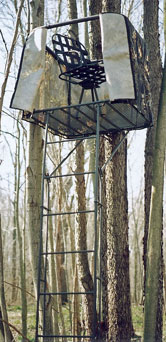 Swivel seat best sale tree stand